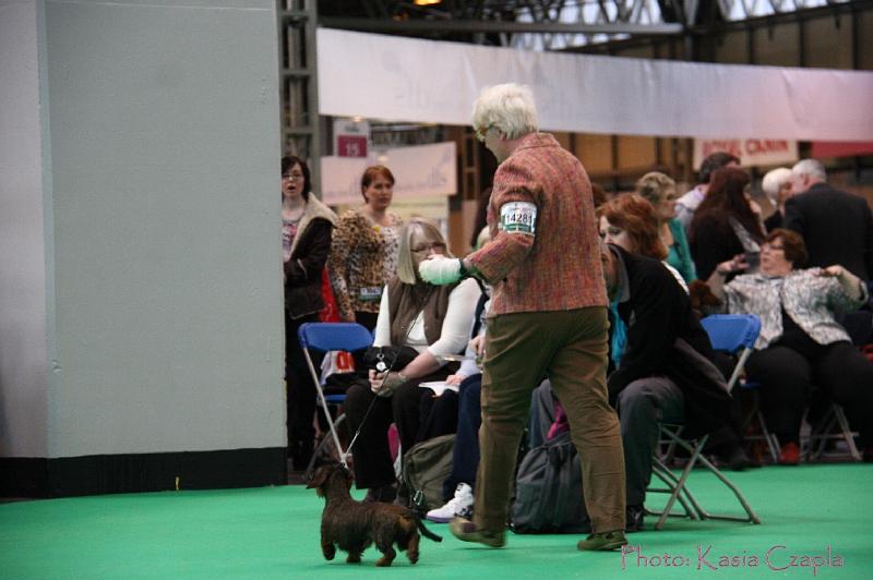 Crufts2011_2 1035.jpg